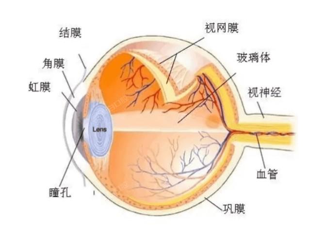 想知道武汉眼科医院白内障手术价格一览表 做双焦点散光晶体23800/非球面折叠晶体15300挺便宜