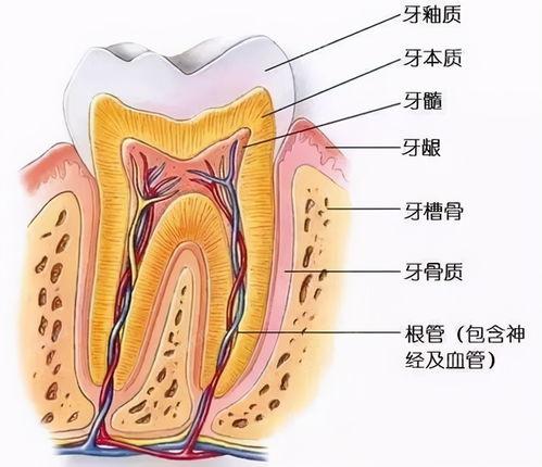 2024杭州补牙齿医院排名榜前三揭秘 想找杭州哪里补牙齿靠谱环境好看过来