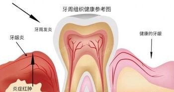 昆明2024儿童牙科十大口腔医院排名，这十家牙科正规口碑好值得推荐