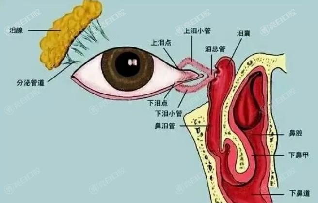 合肥蔡司全飞秒smile微切口排名前5的医院汇总 告诉你哪里做蔡司全飞秒smile微切口技术更好！