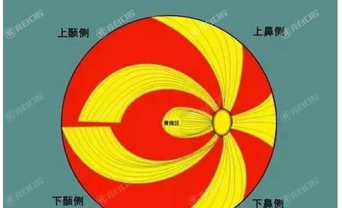 想知道广东雷诺眼科连锁眼科项目要多少钱 资质正规医生技术靠谱