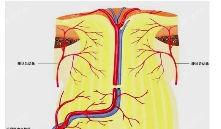 更新大连眼科医院近视眼手术价格一览表 角膜塑形镜8000起