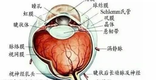 分享湖北武汉观视界眼科眼科项目价格表 正规的眼科医院收费还不贵附详细地址