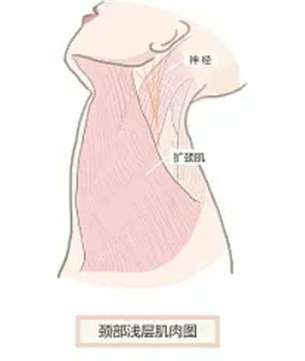 青岛自体软骨隆鼻有名的医美医院排名 7大排名里比较好的有：灿辰/佳蒂/华颜美等